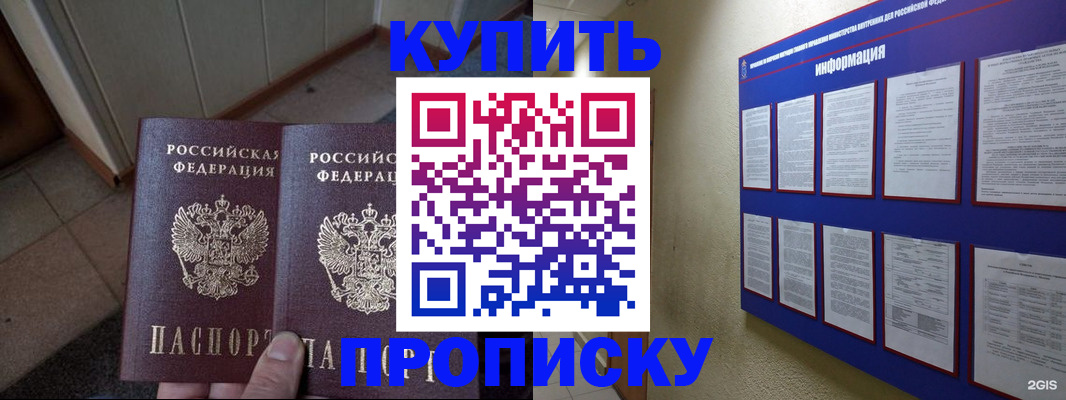 регистрация для школы в Ленинградской области